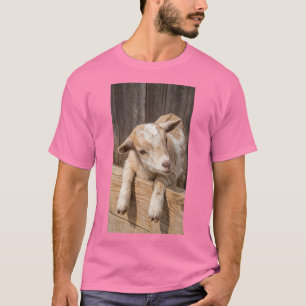 Cute Baby Goat Rustic Farmhouse Photography Canvas T-Shirt