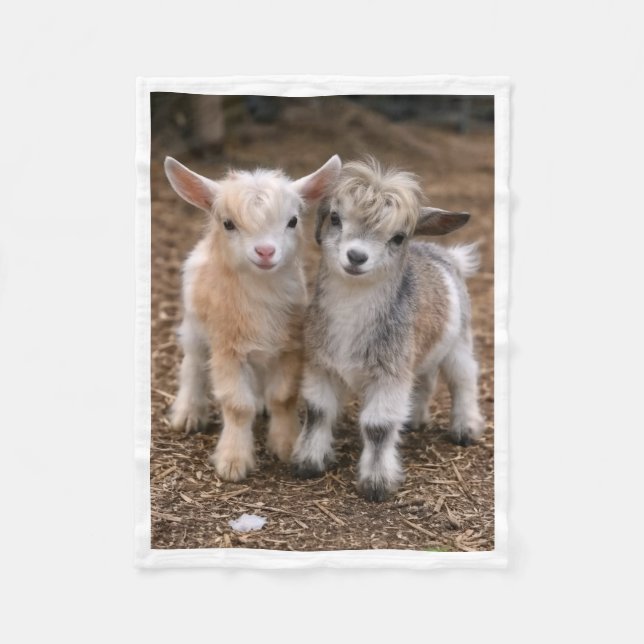 Cute Baby Goats Farm Animals Fleece Blanket (Front)