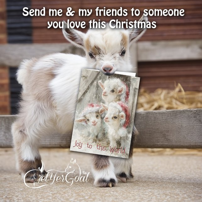 Cute Baby Goats - Snow Babies 8 Christmas Holiday Card (Creator Uploaded)