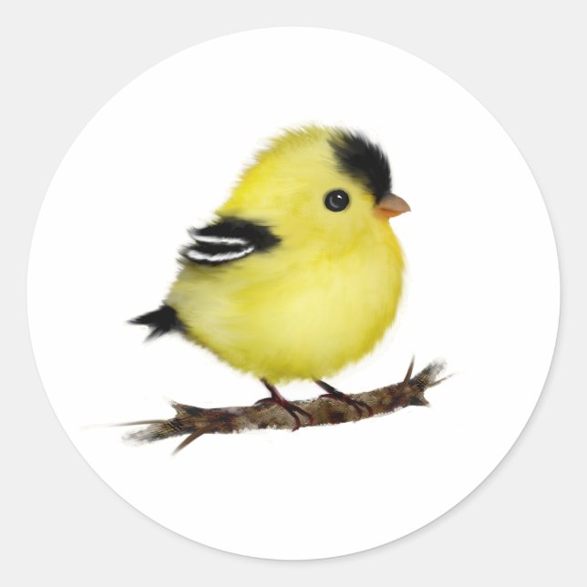Cute Baby Goldfinch Bird Stickers (Front)