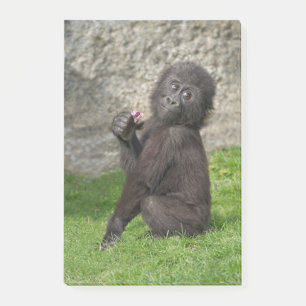 Cute Baby Gorilla Post-it Notes