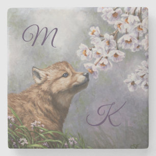 Cute Baby Grey Wolf Pup and Flowers Stone Coaster