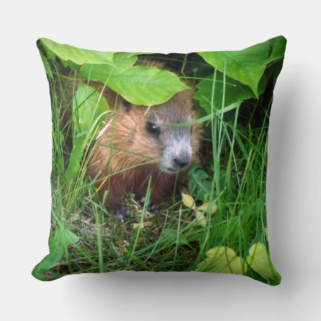 Cute Baby Groundhog Marmotte Murmeltier Cushion (Front)