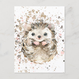 Cute Baby Hedgebog Postcard
