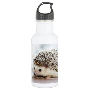Cute Baby Hedgehog 532 Ml Water Bottle