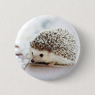 Cute Baby Hedgehog 6 Cm Round Badge