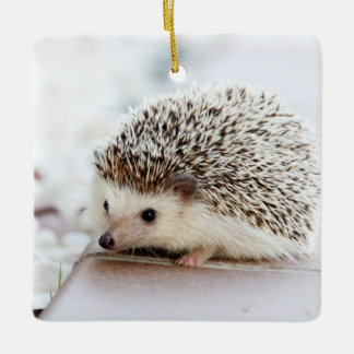 Cute Baby Hedgehog Animal Ceramic Tree Decoration