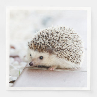 Cute Baby Hedgehog Animal Napkin