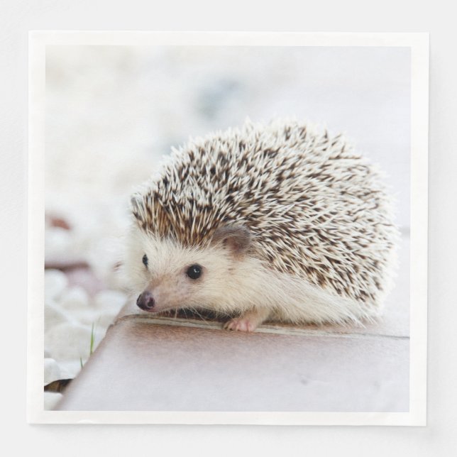 Cute Baby Hedgehog Animal Napkin (Front)