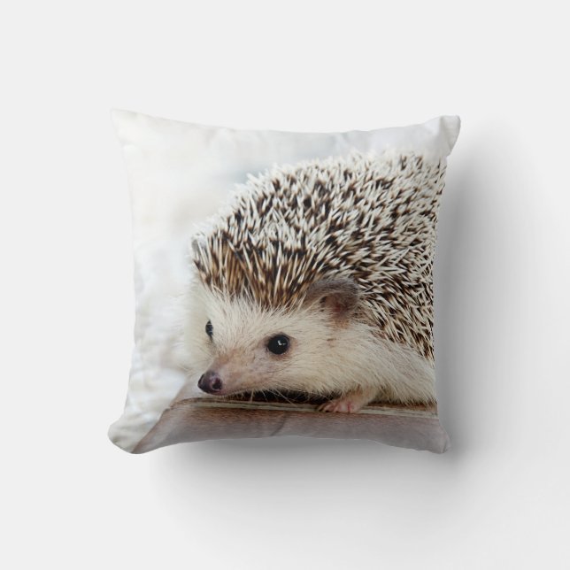Cute Baby Hedgehog Cushion (Front)