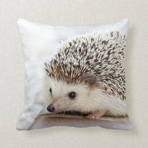 Cute Baby Hedgehog Cushion