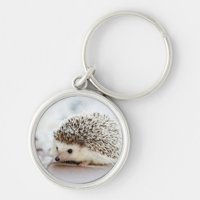 Cute Baby Hedgehog Key Ring (Front)