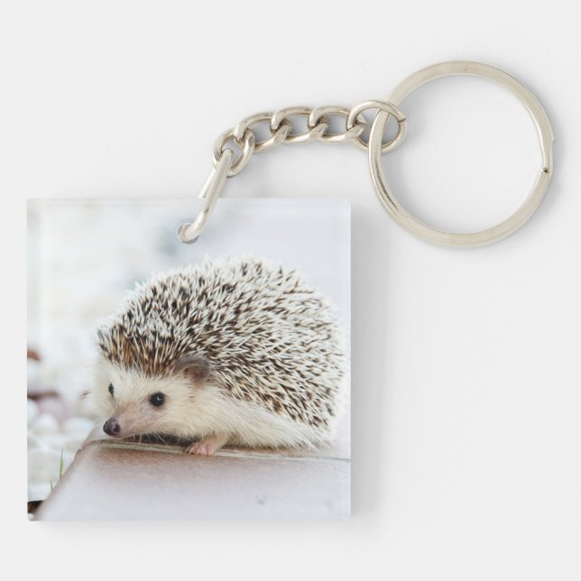Cute Baby Hedgehog Key Ring (Back)