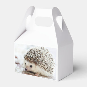 Cute Baby Hedgehog Photo Favour Box