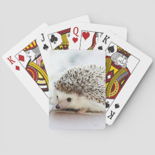 Cute Baby Hedgehog Playing Cards