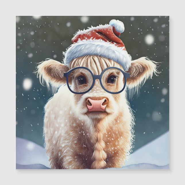 Cute baby Highland Cow In The Snow (Front)