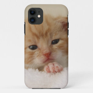 Cute baby kitten in white towel. iPhone 11 case