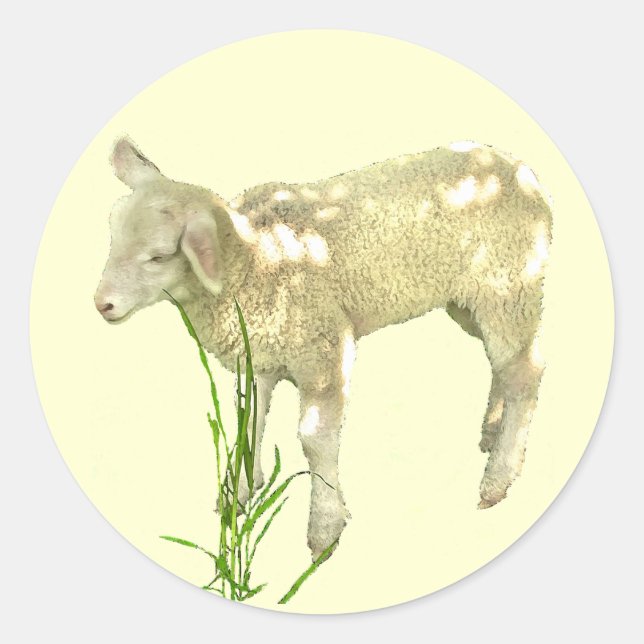 Cute Baby Lamb on Yellow Stickers (Front)
