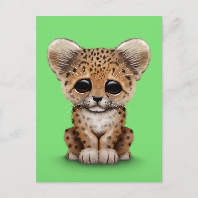 Cute Baby Leopard Cub on Green Postcard (Front)