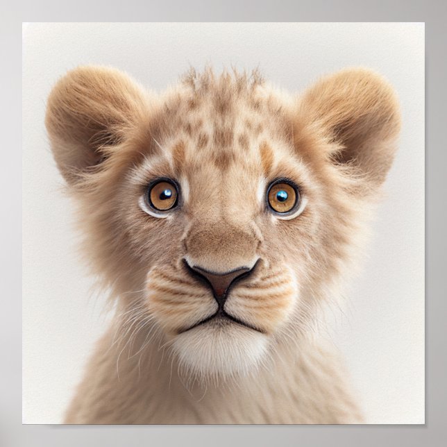 Cute Baby Lion Portrait |  Square 1:1 Poster (Front)
