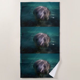 Cute baby manatee beach towel