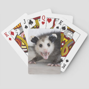 Cute Baby Opossum Photo Playing Cards