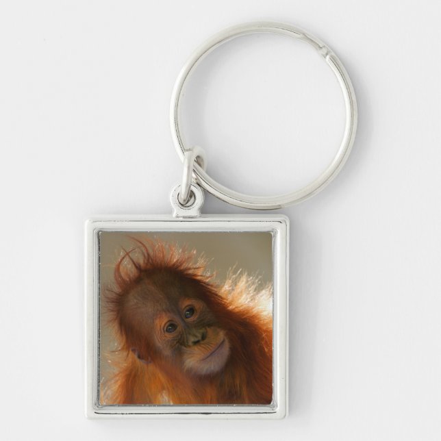 Cute Baby Orangutan Key Ring (Front)