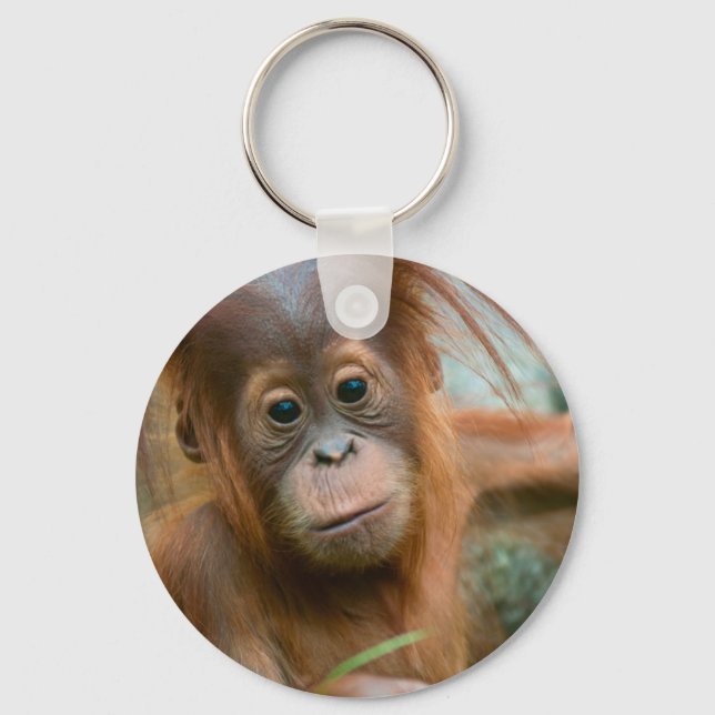 Cute Baby Orangutan looking straight ahead Key Ring (Front)