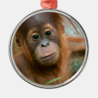 Cute Baby Orangutan looking straight ahead Metal Tree Decoration