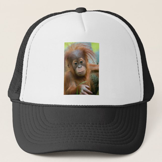 Cute Baby Orangutan looking straight ahead Trucker Hat (Front)