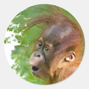 Cute baby orangutan looks on in wonder classic round sticker