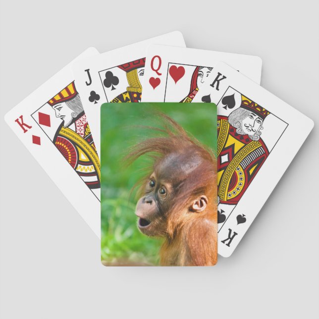 Cute baby orangutan looks on in wonder playing cards (Back)