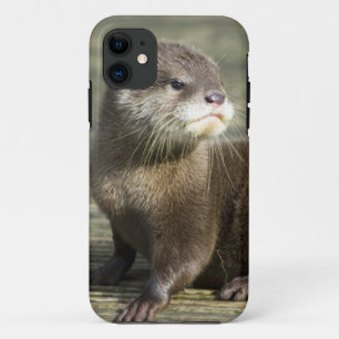 Cute Baby Otter Case-Mate iPhone Case