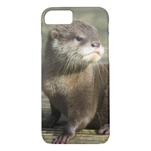 Cute Baby Otter Case-Mate iPhone Case
