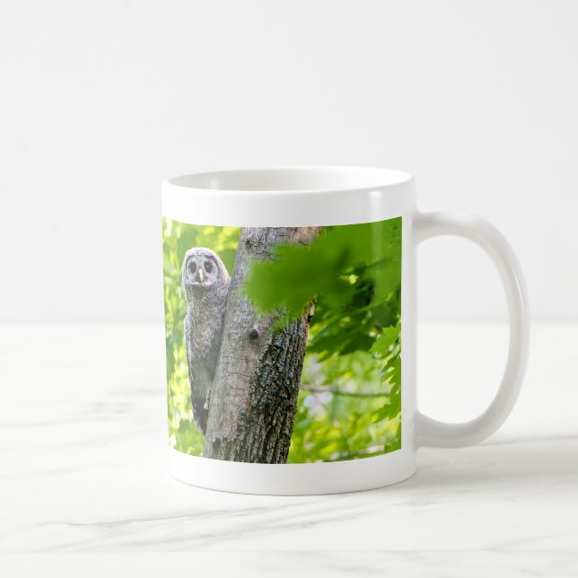 Cute Baby Owl Coffee Mug (Right)