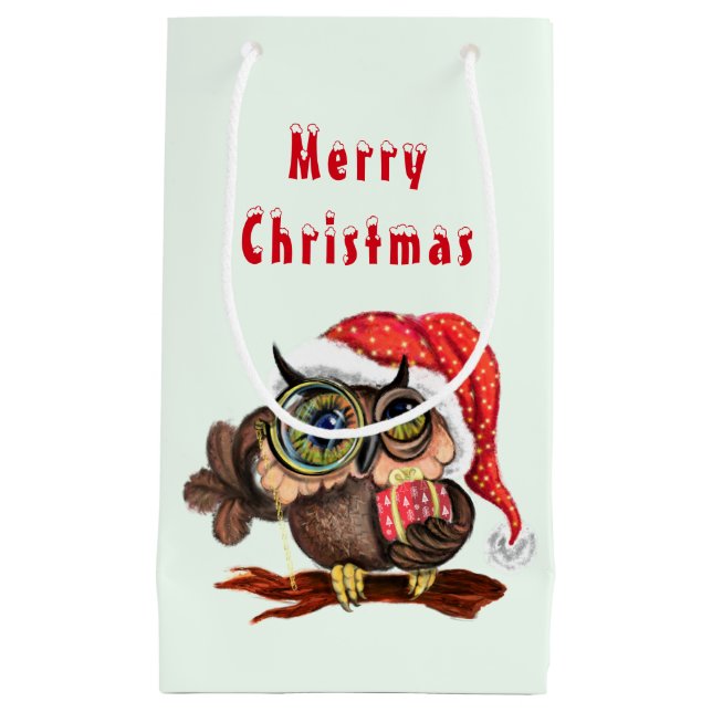 Cute Baby Owl In Christmas Hat and Gift For You Small Gift Bag (Front)