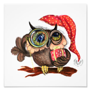 Cute Baby Owl In Christmas Hat and Gift Photo Print
