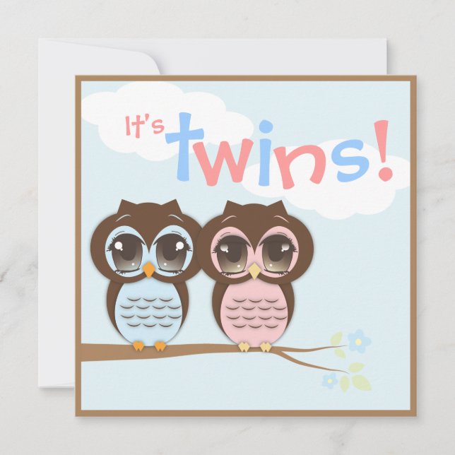 Cute Baby Owls Twins Baby Shower Invitation (Front)