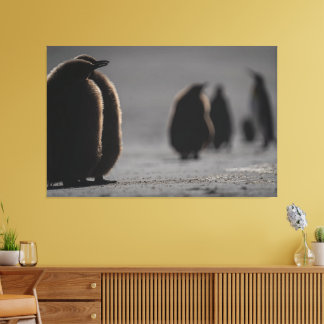 Cute Baby Penguin Chicks | unique Photo Art Canvas Print