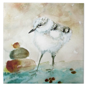 Cute Baby Plover Ceramic Kitchen Tile