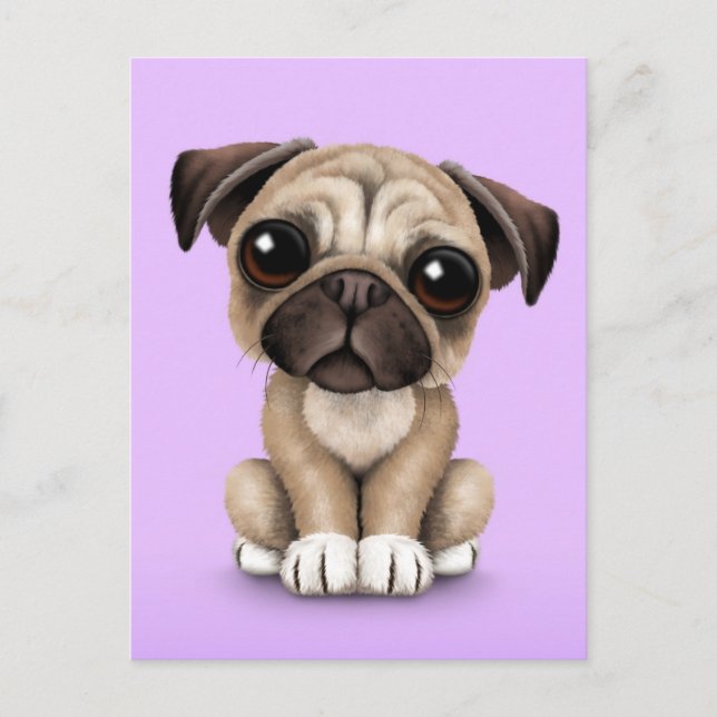 Cute Baby Pug Puppy Dog on Purple Postcard (Front)