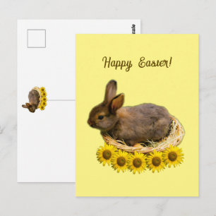 Cute baby rabbit - easter bunny  postcard