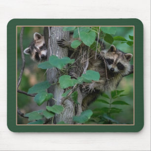 Cute Baby Raccoons Mouse Pad