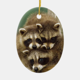 Cute Baby Racoon Ceramic Tree Decoration