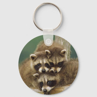 Cute Baby Racoon Key Ring
