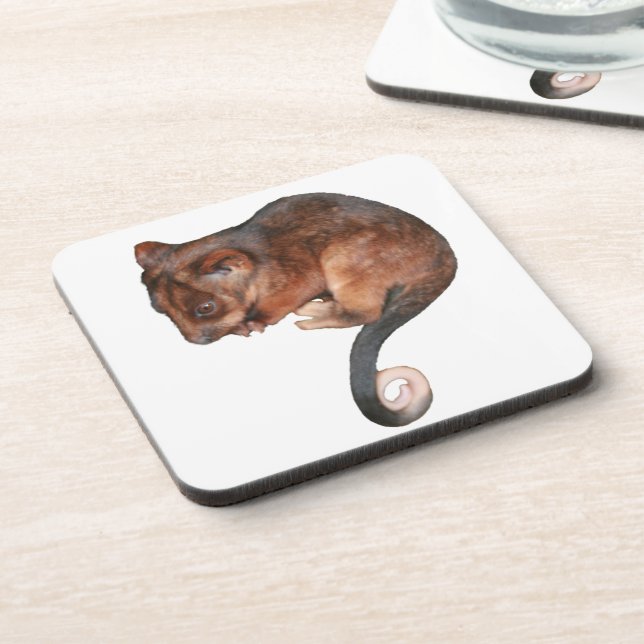 Cute Baby Ringtail Possum Coaster (Left Side)