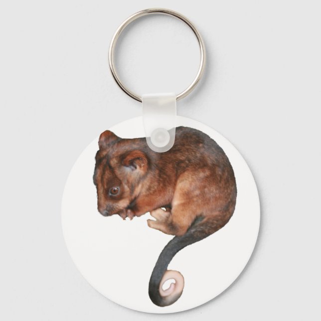 Cute Baby Ringtail Possum Key Ring (Front)