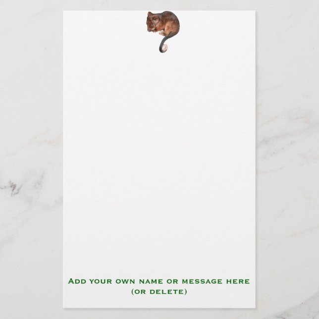 Cute Baby Ringtail Possum Stationery (Front)