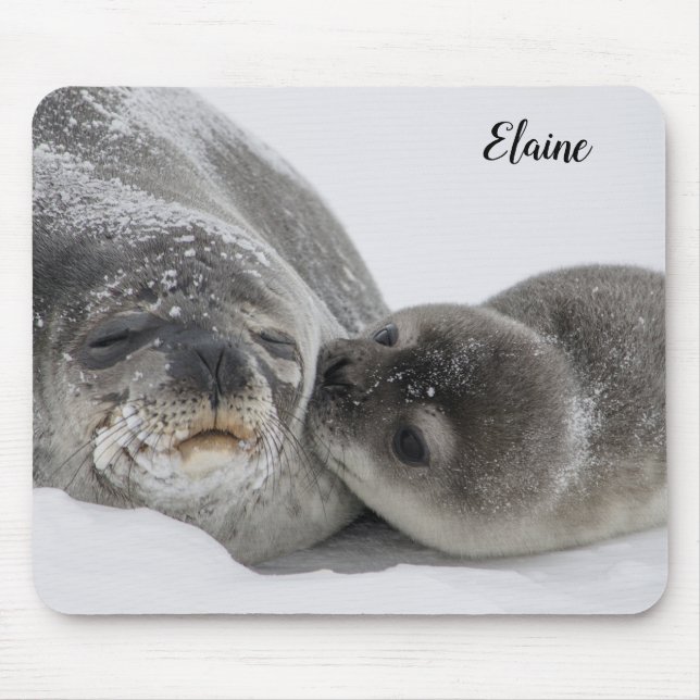 Cute Baby Seal and Mum Mouse Pad (Front)