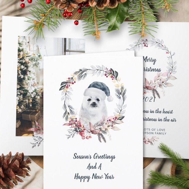 Cute Baby Seal Watercolor One Photo Christmas Holiday Card (Creator Uploaded)